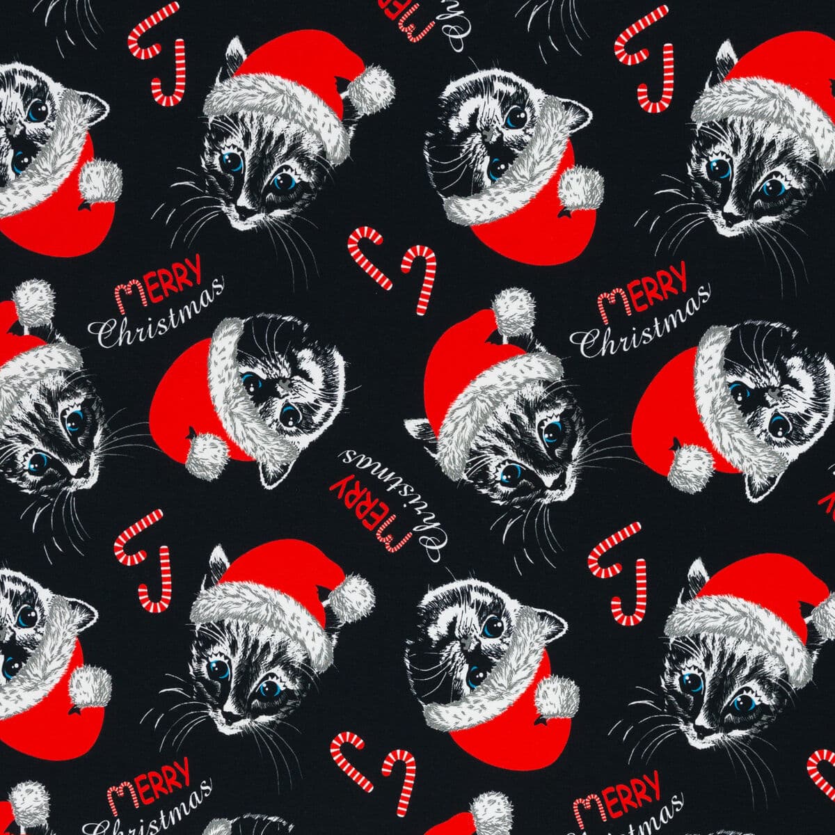 Trikoo, TONTTUKISSAT