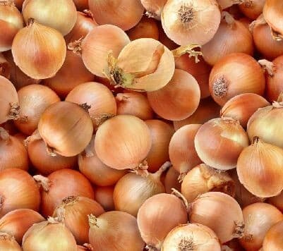 Puuvillakangas 112cm, SIPULI