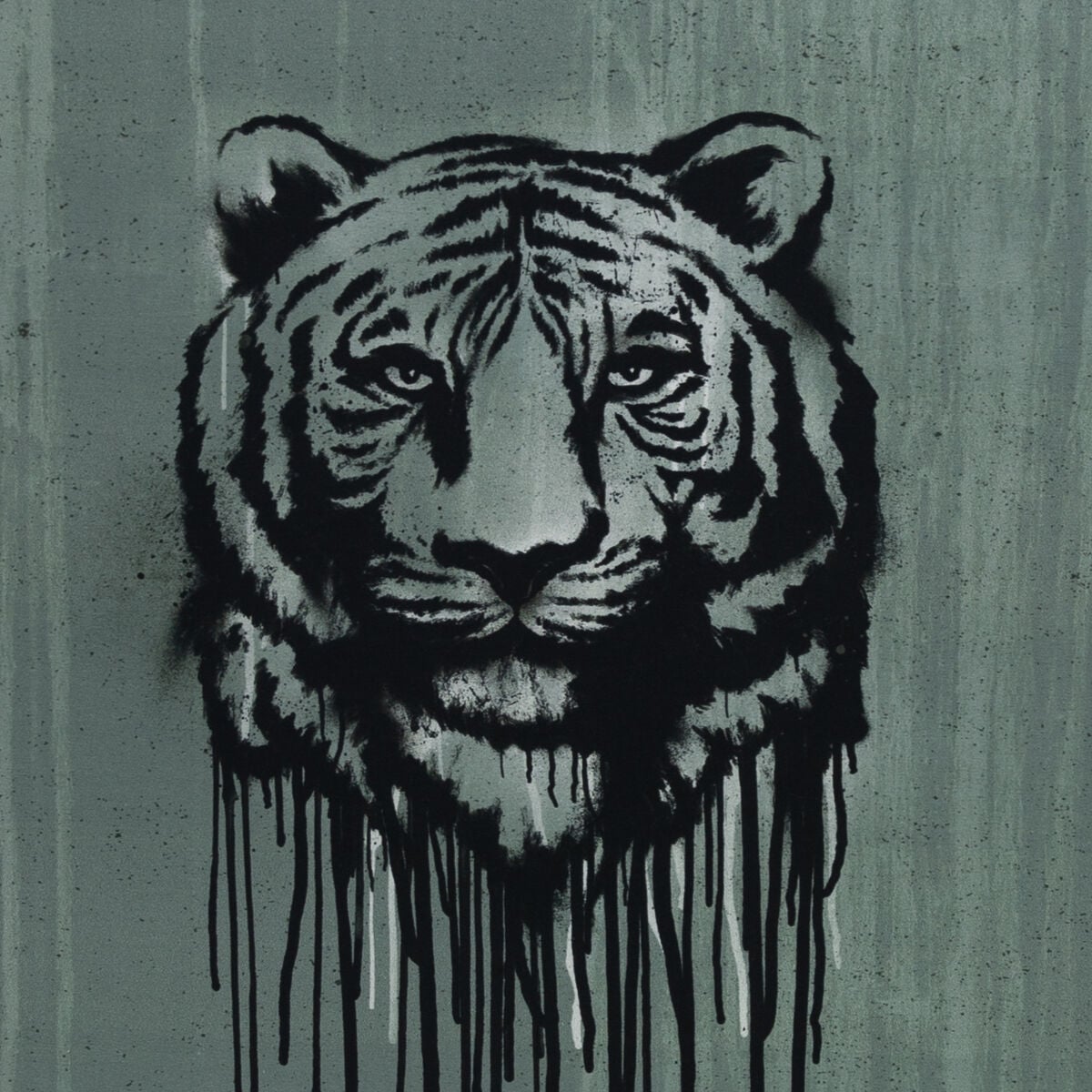 Trikoo, WILD TIGER, pala 60cm